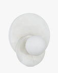 Orbe